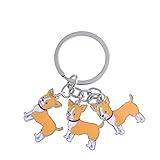 chihuahua welpen zucht Handgefertigtes Premium-Metall, sorgfältig poliert. Es ist langlebig für lange zeit verwenden.