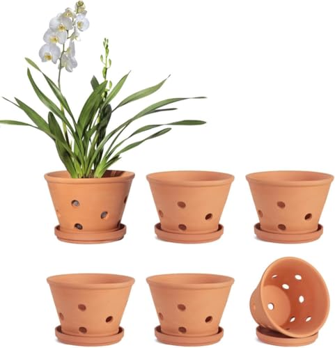vensovo 10 cm Terracotta Orchid Pots with Holes and Saucers, 6 Pack Small Clay Planters for Repotting, Terra Cotta Pots for Indoor & Outdoor Plants, Promotes Air Circulation