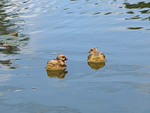 Floating Resin Duck Figurine Pond Décor Garden Lawn Patio Outdoor Statue Black Yellow (Set Of 2) #TOP4