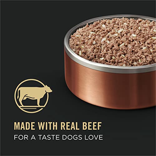 Image of Purina Pro Plan High Protein Dog Food Wet Pate, Beef and Brown Rice Entree - (24) 5.5 oz. Cans