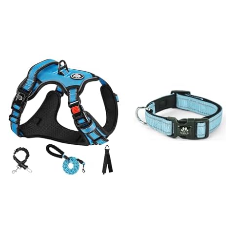 NESTROAD Dog Harness Bundle Dog Collar for Small Medium Large Dogs | Large | Blue Cover