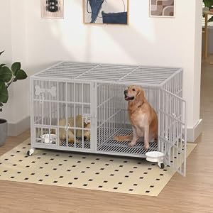 aboxoo 48" Heavy Duty Metal Dog Crate, Indoor Kennel for 2 Dogs with Divider — photo 3 of 6