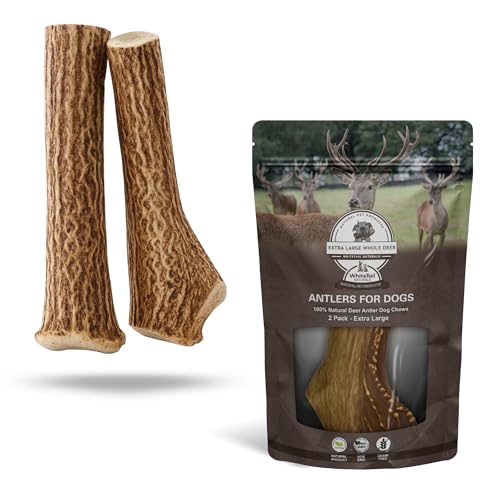 WhiteTail Naturals - Jumbo Antler Dog Chews (2 Pack- XXL) Tough Axis Deer Horn Antlers for Dogs - Extra Large Long Lasting Natural Dog Bones for Aggressive Chewers - USA Made