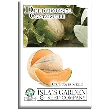 Delicious 51" Cantaloupe Seeds for Planting, 50+ Heirloom Melon Seeds Per Packet, Islas Garden Seeds, Non GMO Seeds, Botanical Name Cucumis melo VAR. cantalupensis, Great Gift for a Home Garden