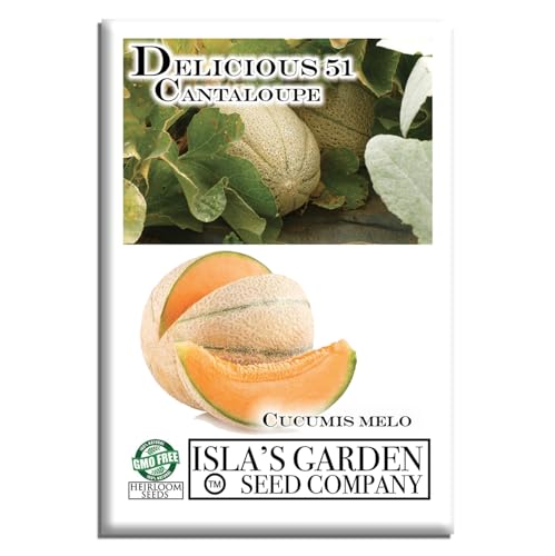 Delicious 51" Cantaloupe Seeds for Planting, 50+ Heirloom Melon Seeds Per Packet, (Isla's Garden Seeds), Non GMO Seeds, Botanical Name: Cucumis melo VAR. cantalupensis, Great Gift for a Home Garden