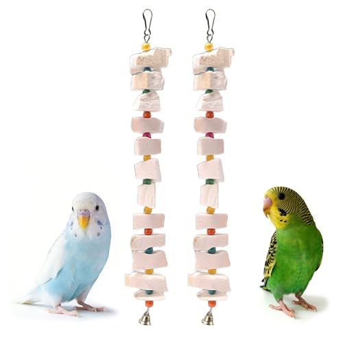 Acsist 2 Pack Bird Toys, Parakeet Toys with Cuttlebone, Natural Cuttle Bone Bird Beak Grinding Stone...