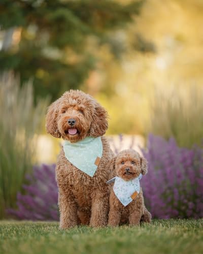 Remy+Roo Spring Dog Bandanas - 4 Pack Gemma Set | Premium Durable Adjustable Polyester Fabric | Patented Shape Girl Dog Bandana, Floral Dog Bandana (Large)