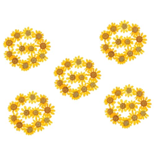 TEHAUX 120 flores secas para manualidades miniatura 1