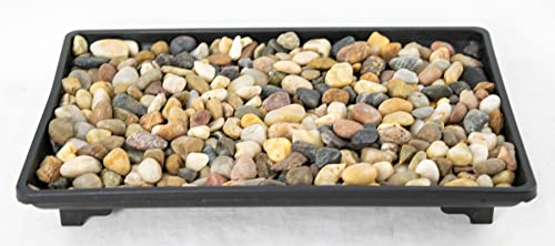 Yubonzai 1 Rectangular Black Plastic Humidity/Drip Tray for Bonsai Tree and House Indoor Plants...