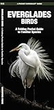 Everglades Birds: A Folding Pocket Guide to Familiar Species (A Pocket Naturalist Guide)