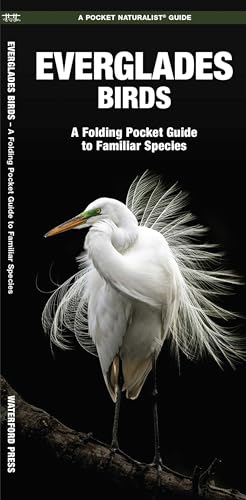 Everglades Birds (Nature Observation North America)