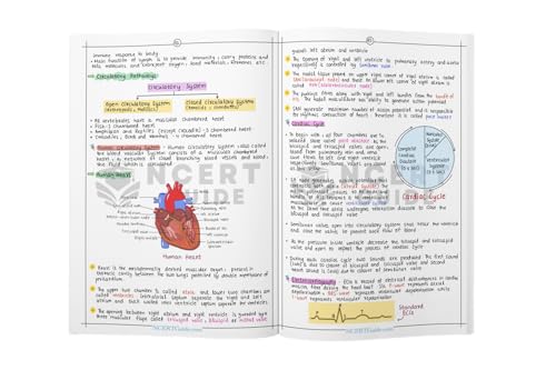 Image of NEET Biology Handwritten Short Notes | Handwritten Colorful Notes Book | Rapid Revision Material for Diagrams, Definitions & Key Topics (Class 11-12 CBSE + NEET Exam Prep)
