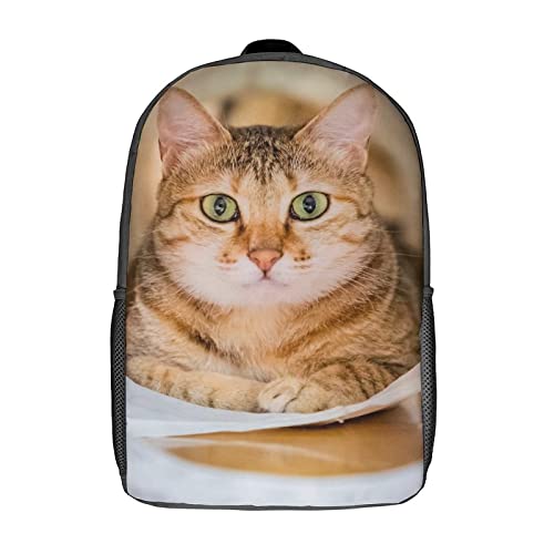 Sac à dos d'école de chat personnalisé 17 pouces imprimé 3D mixte