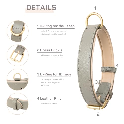 HEELE Soft Leather Dog Collar Breathable Padded with D Ring, New Pad Colour - Image 4
