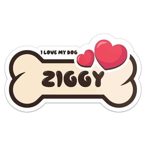 Ziggy Dog Name Sticker - Waterproof Vinyl Decal for Car Bumper, Laptop, Water Bottle, Cup, Pet Bowl, Luggage, Wall, and Window, Size - 3'' Longer Side