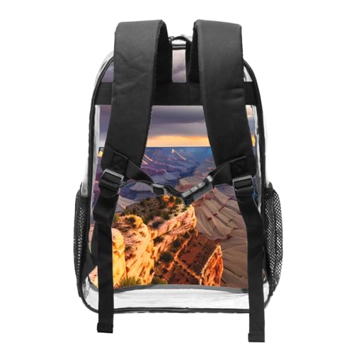 Beauty Grand Canyon 1 print 16 Inches Clear Backpacks for Office Large Backpack Clear Bookbag for College2