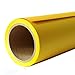 Yizhily Seamless Photography Photo Backdrop Background Paper Roll for Photoshoot 53 inches Wide x 16 feet Long, Forsythia Yellow