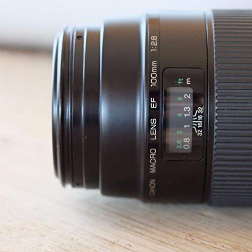 Canon EF 100mm F/2.8 Macro Lens : Amazon.ca: Electronics