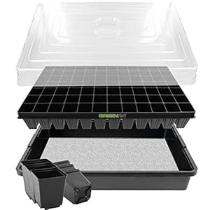 GREEN24 Anzucht-System 84WT Zimmer-Gewächshaus Set