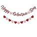 Red Glittery Happy Galentines Day Banner and Red Pink Glittery Heart Garland Banner Romantic Decorations No DIY Valentines Day Bunting Photo Props Girls Party Favors Ladies Galentines Theme Decor