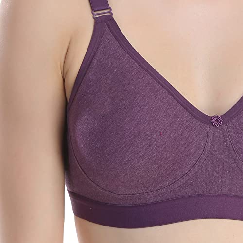 Image of Extra Comfort Non Padded Non Wire Bra for Everyday Combo Pack of 3
