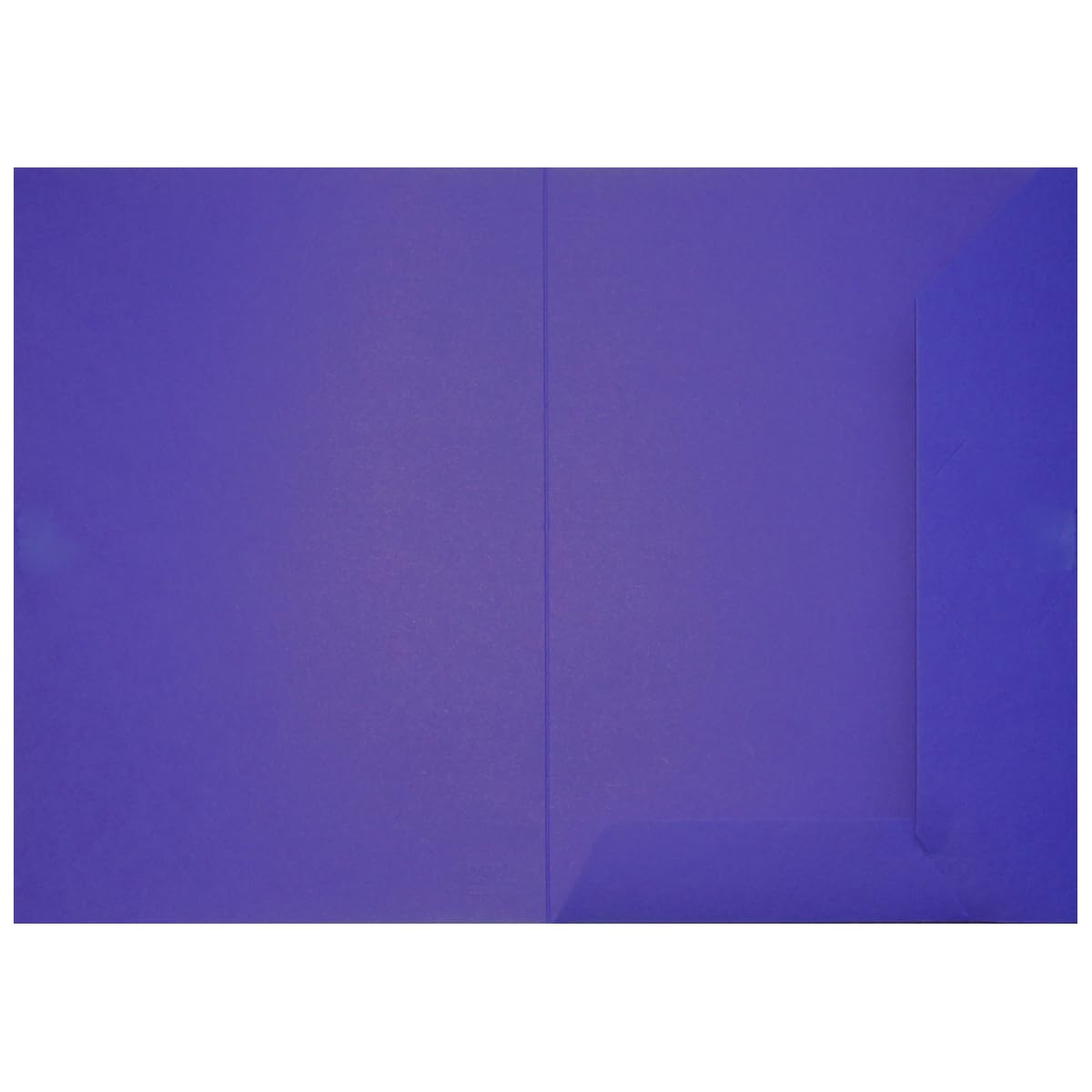 Original BIGO Presentation Folder DIN A4 Cornflower Blue Pack of 10 Versatile Use for Your Offers Exposés
