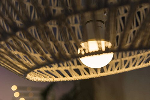 Philips Lighting LED10SMDMB1 Lampadina LED a