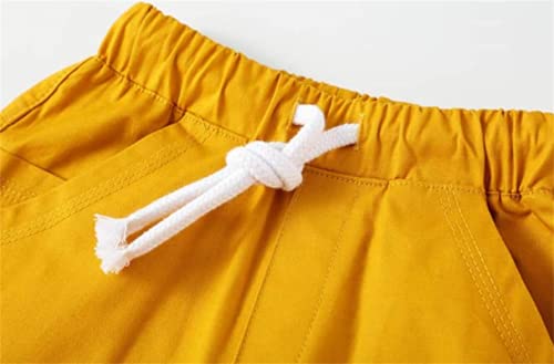 Image of Boys Summer Short Sets Outfits Cotton Casual Crewneck Short Sleeve Shirt Shorts Playwear Clothes Sets 2-7Y