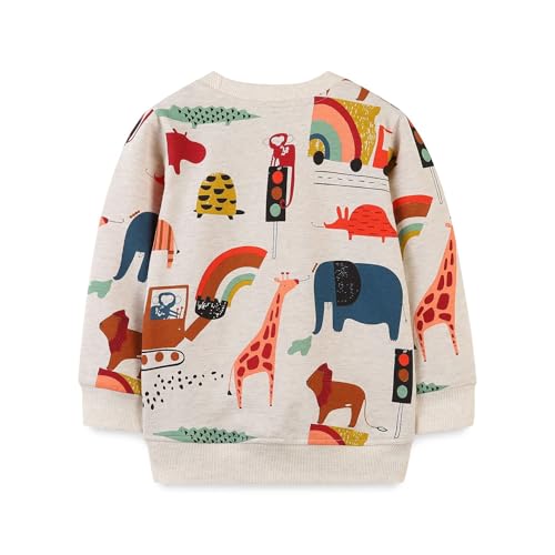 Boys Sweatshirts Casual Sweatshirts Cotton Sweatshirts Long Sleeve T-shirts Crew Neck Cartoon Tops for Boys-3092