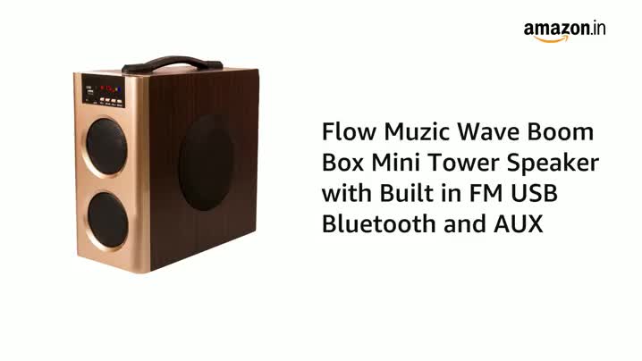 flow mini boombox