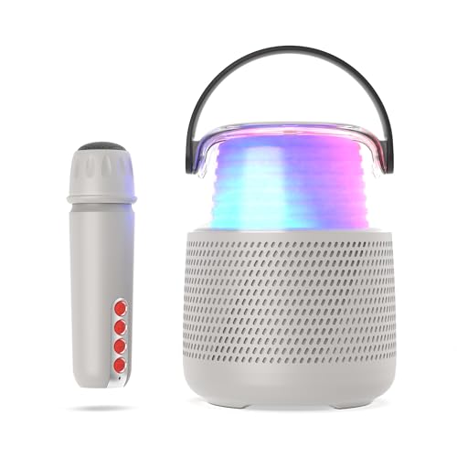 Enceinte Karaoké KS-80 GRIS - Une aventure musicale divertissante –  Mobility on Board