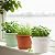 13 Inch Plastic-Flower-Pot-for-Indoor-Plants, 4 Pack Large Outdoor Planter Pot with Drainage Holes & Saucers, Resin Decorative Garden Pots Planters