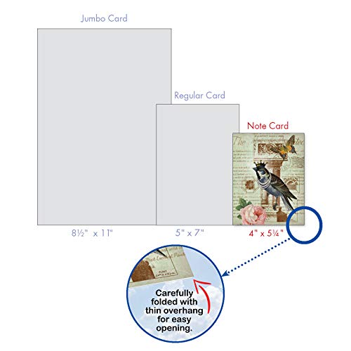 The Best Card Company - 10 Bird Note Cards Blank (4 X 5.12 Inch) - All Occasion Cards With Envelopes, Boxed Set - Royal Birds M2343Ocb #TOP6