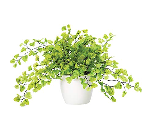 Petals - Maidenhair Fern Silk Foliage Plant