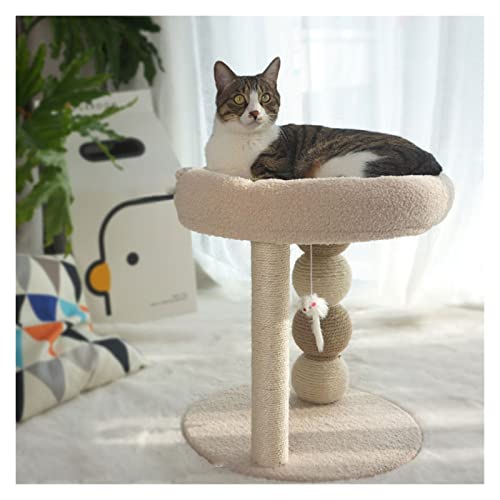 Arbre à chat grand format résistant pour résoudre le manque d'espace de jeu
