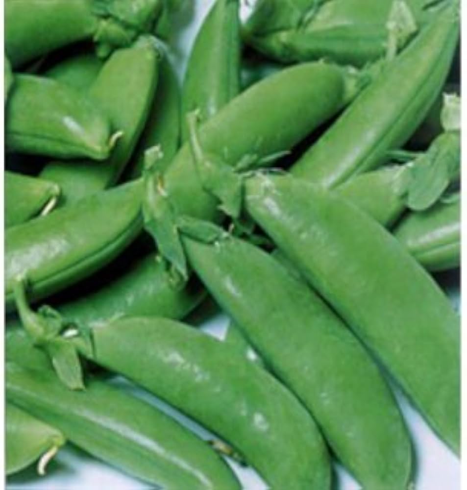 ニムラサラダスナップ スナップエンドウ1L×4袋セット ニムラサラダスナップ スナップエンドウ1L×4袋セット ニムラサラダ