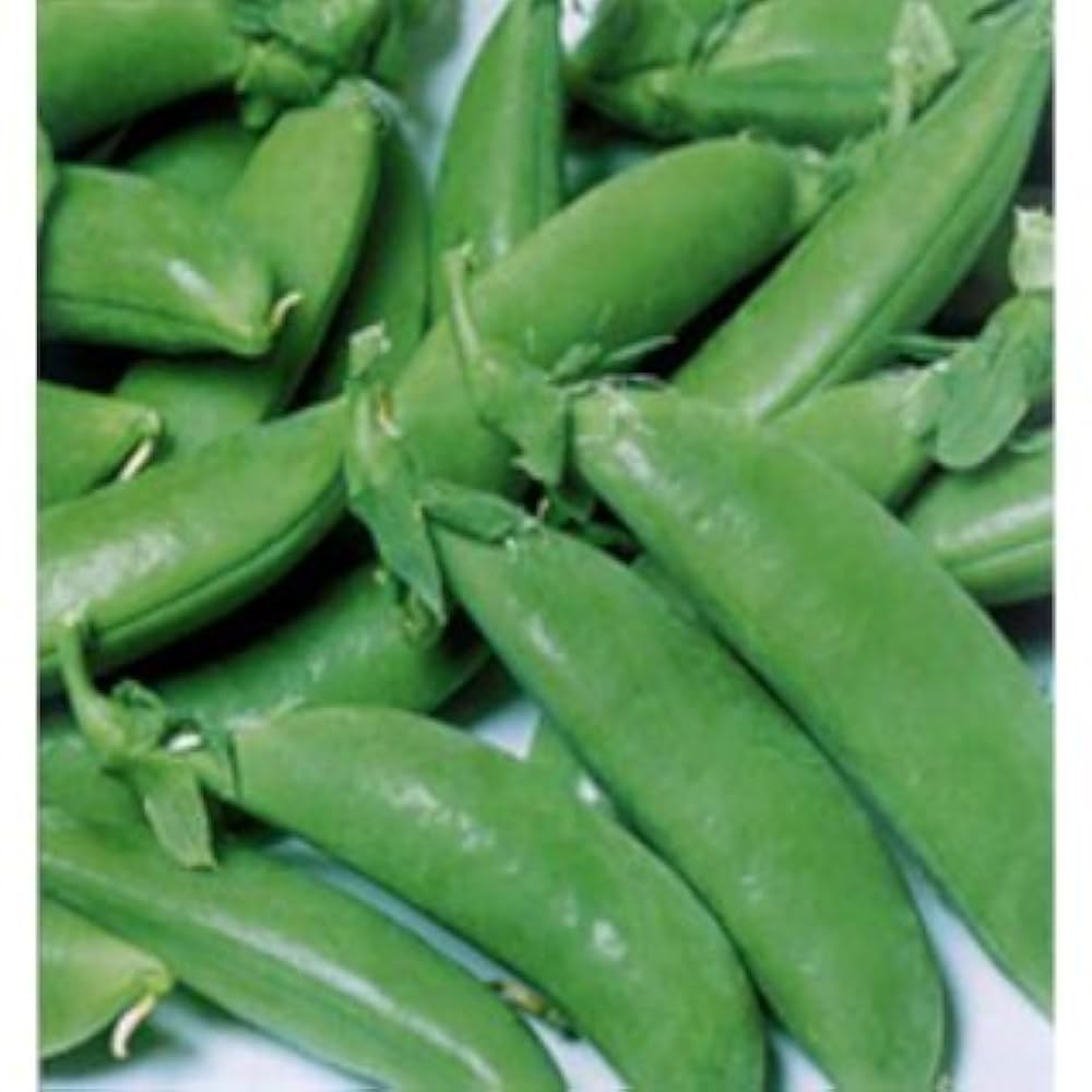 ニムラサラダスナップ スナップエンドウ1L×4袋セット ニムラサラダスナップ スナップエンドウ1L×4袋セット ニムラ