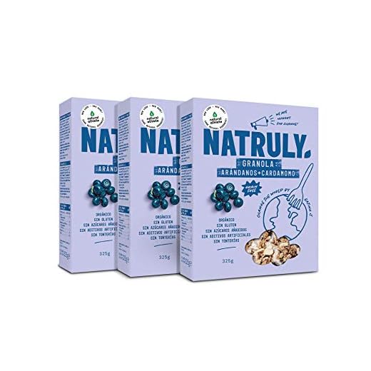 NATRULY Granola BIO de Frutos Secos y Semillas Sin Cereales, Sin Gluten y Sin Azúcar Refinado, Vegana, Sabor Arándanos -Pack3x325g