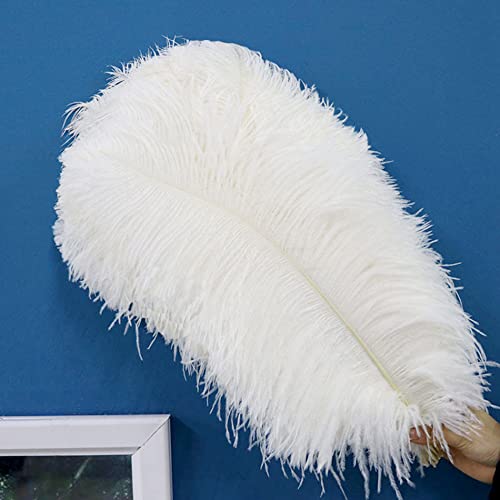 Plumes blanches naturelles pour artisanat, fête de mariage, décoration de la maison, Plumes d'oie d'autruche, accessoires s-03