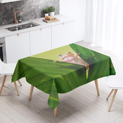 Aozhiswe Mantel Antimanchas Rectangular Rana Mantel de Mesa Plantas Verdes 140x260 cm Manteles Impermeable Poliéster Protector Comedor para Interior Exterior a-8638