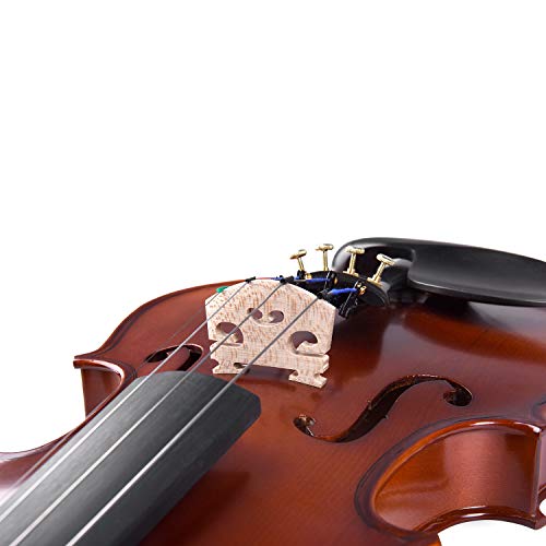 Aileen “Premium Beginner" Series Violin Outfit 4/4 Full Size Solid Wood Ebony Fitted for Kids Students, Teachers Approved