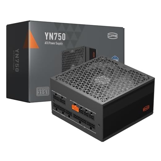 PCCOOLER CPS YN750 Power Supply, 750W 80 Plus Gold Certified Fully Modular PCIe 5.1 & ATX 3.1 Gaming PSU, Wide Compatibility, 135mm FDB Fan, Full Japan Electrolytic Capacitors - 10 Year Warranty