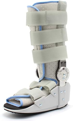 EH[J[u[c ؖpÃu[c ALXF hbvtbg Oȗpu[X r̉T|[g یu[c `OȗpCrCU[u[c ANu[c (TCY : Small)