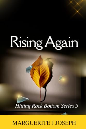 Rising Again (Hitting Rock Bottom Book 5) (English Edition)