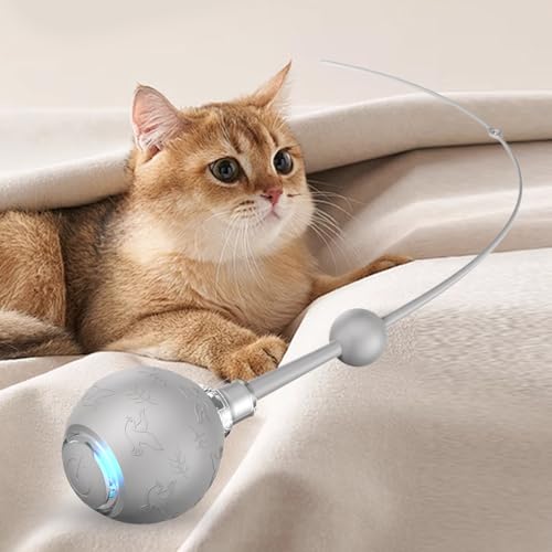 Jouet de balle interactive pour chat avec queue plume mobile et 3 modes de jeu stimulants - 3