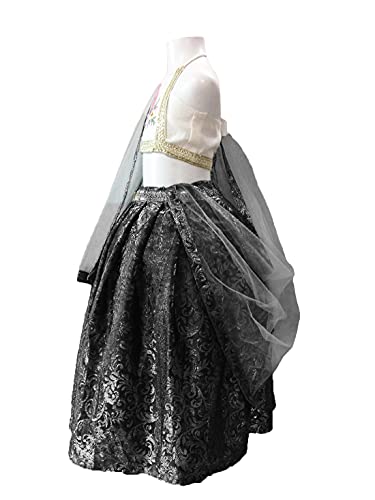 Image of Aglare Girl's Net Readymade Lehenga Choli