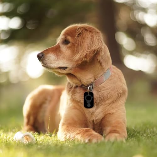 BOHUIZ 25 Stück Aluminiumgravur Rohlinge, Dog Tags Schlüsselanhänger Rohlinge Mit Loch Schwarze Metall-Tags zum Gravieren Blanko-Hundemarken Blanko-Schilder zum Gravieren