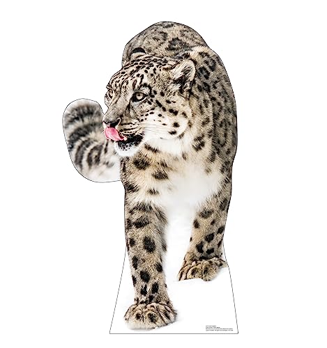 Cardboard People Snow Leopard Cardboard Cutout