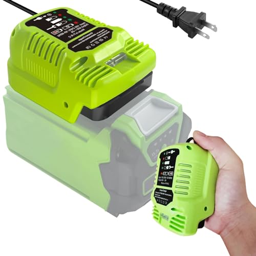 Chargeur de batterie 40V compatible Greenworks 29482 29462 G-MAX mini portable