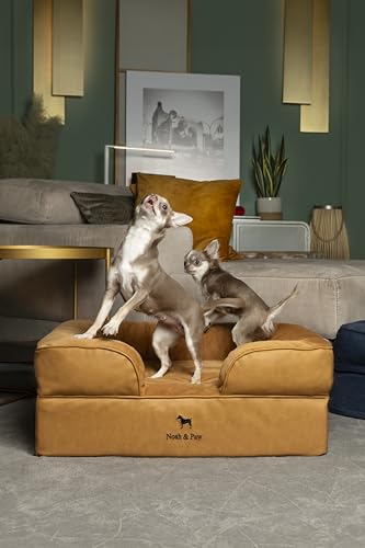 Image of NOAH & PAW Dog Bed, 28x23x11 Inch, Orthopedic Dog Beds for Medium Size Pets, Eggshell Memory Foam Infused with Cooling Gel, Inner Cover, Water Resistant, Machine Washable (Faux Leather)